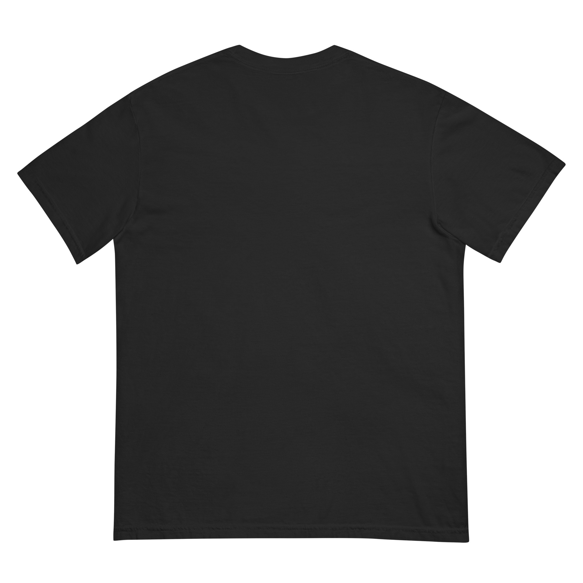 Dim Sum & Blanc de Blancs or Fino Sherry — Start With the Plate Heavyweight T-Shirt - Image 2